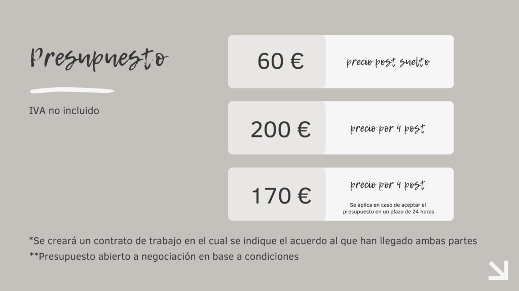 ejemplo presupuesto empresa